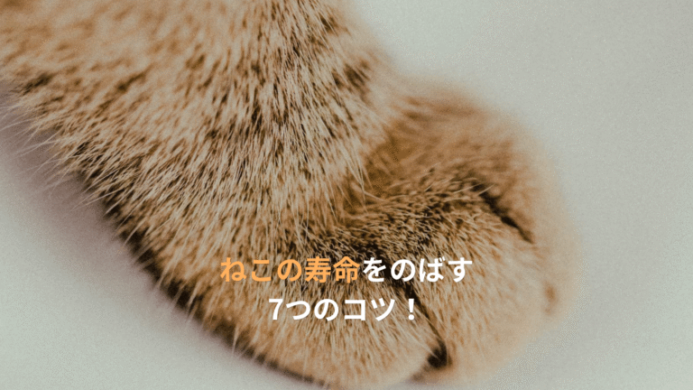 ねこの寿命をのばす7つのコツ！病気をふせぐ飼い方のヒント — 愛猫に少しでも長生きしてほしい方へ。去勢・避妊、食事、歯周病対策など獣医推奨の7つの習慣をまとめました。