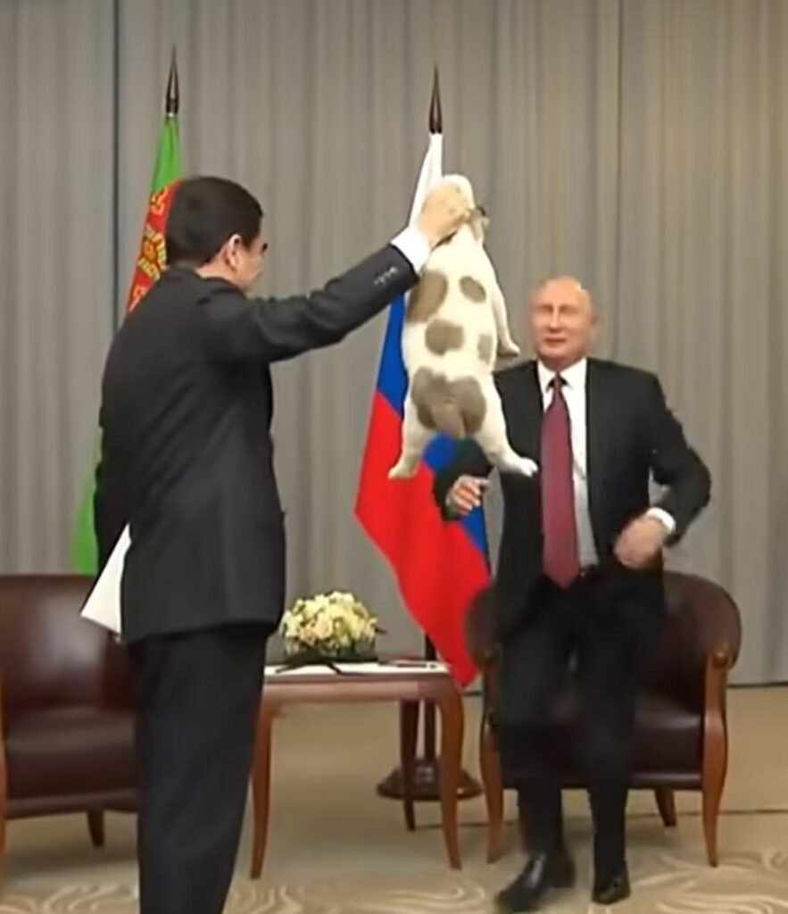 ブルガリアン・シェパード バフィーとプーチン大統領