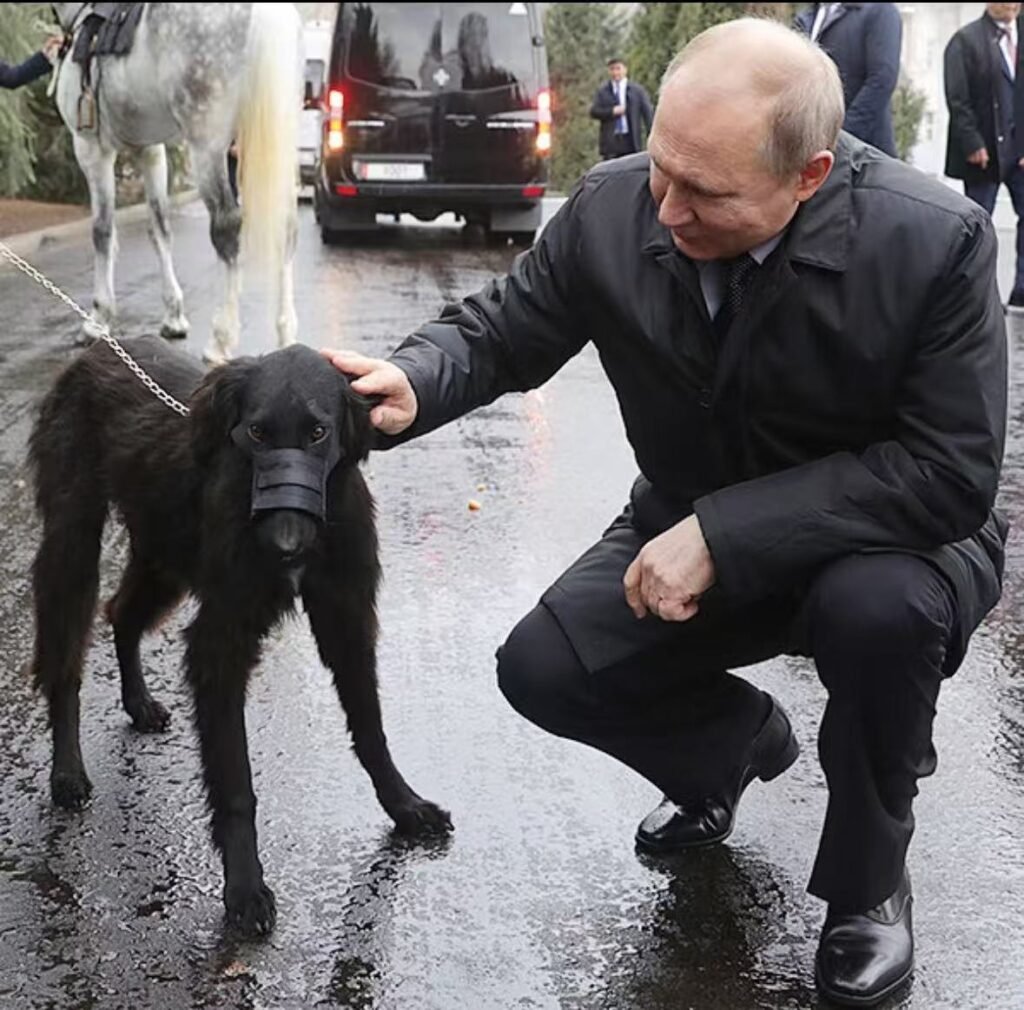 プーチン大統領が子犬を優しく抱きかかえる有名な場面