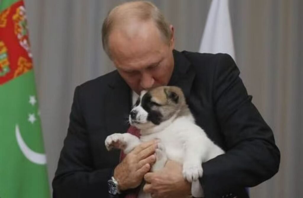 プーチン大統領が愛犬と触れ合う様子 — ロシア大統領の愛犬コラム