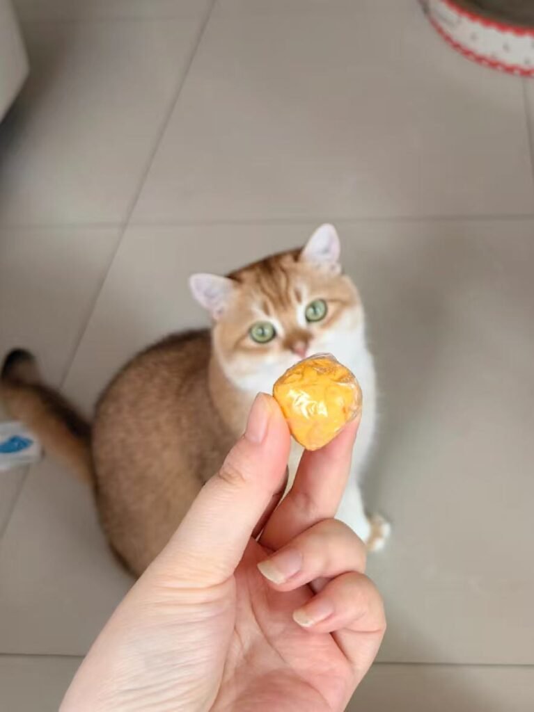 ティッシュで作る猫の魔法のボール｜5分DIY — おもちゃ作りのイメージ写真