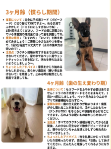 犬用栄養食材の下ごしらえ — 健康おやつの工程写真