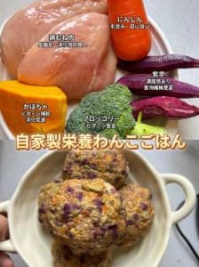 犬の手作りご飯｜初心者が3日で試せるメニューと失敗しないコツ — ゆで鶏と米から始める、初心者向けの3日間メニュー。買い物リストと失敗しにくいコツ付き。