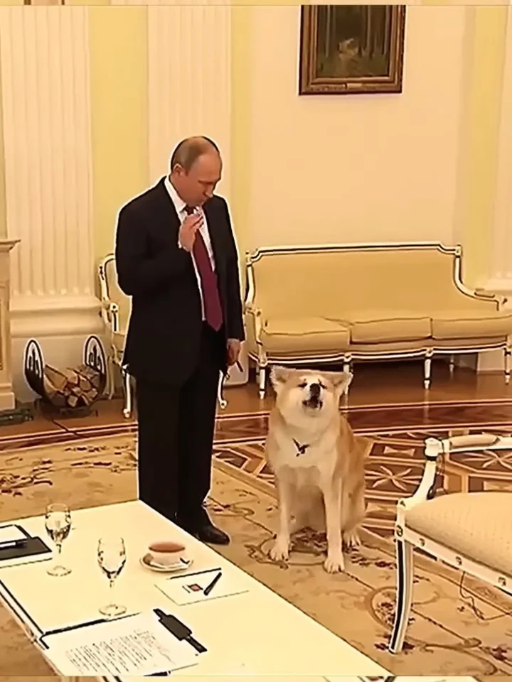 プーチン大統領と愛犬が写る話題の写真