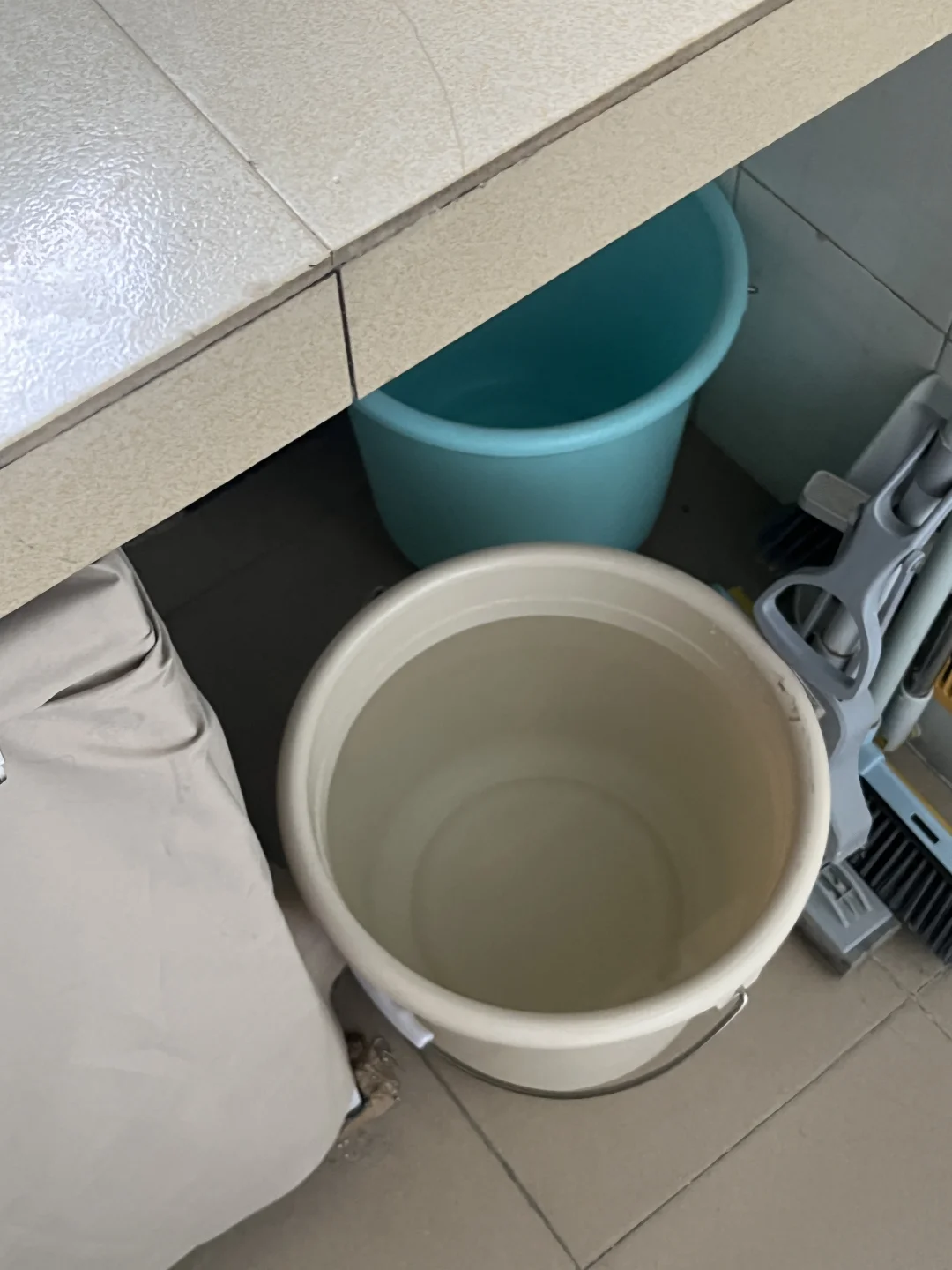 猫の一人時間 — ストレスサインのイメージ写真