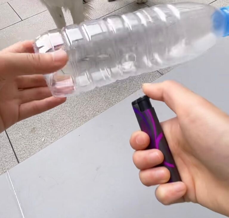 ペットボトルで作った犬用知育おもちゃ — おもちゃ作りのイメージ写真