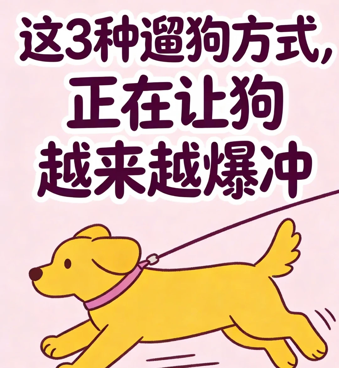 犬の散歩｜時間や回数だけじゃない？愛犬が本当に満足するうちのルール — 「毎日しっかり犬の散歩に行っているのに、帰ってきても全然落ち着かない」「むしろ家の中で暴れてしまう…」そんな悩みを抱えていませんか？実は、我が家…