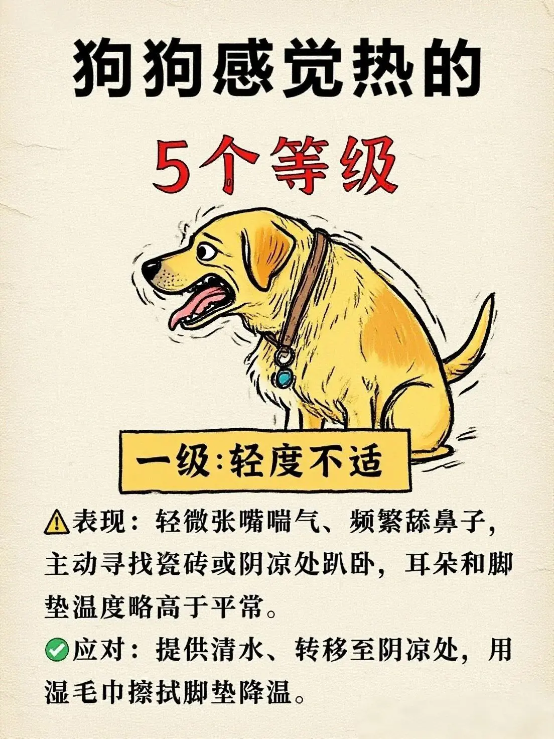 犬の夏バテ｜ただのハァハァは危険？初期サインとうちの予防対策 — 日本の夏は年々厳しさを増していますが、愛犬の暑さ対策は万全でしょうか。「うちの子」がハァハァと息を荒くしているのを見て、「ただ暑いだけかな」と見…