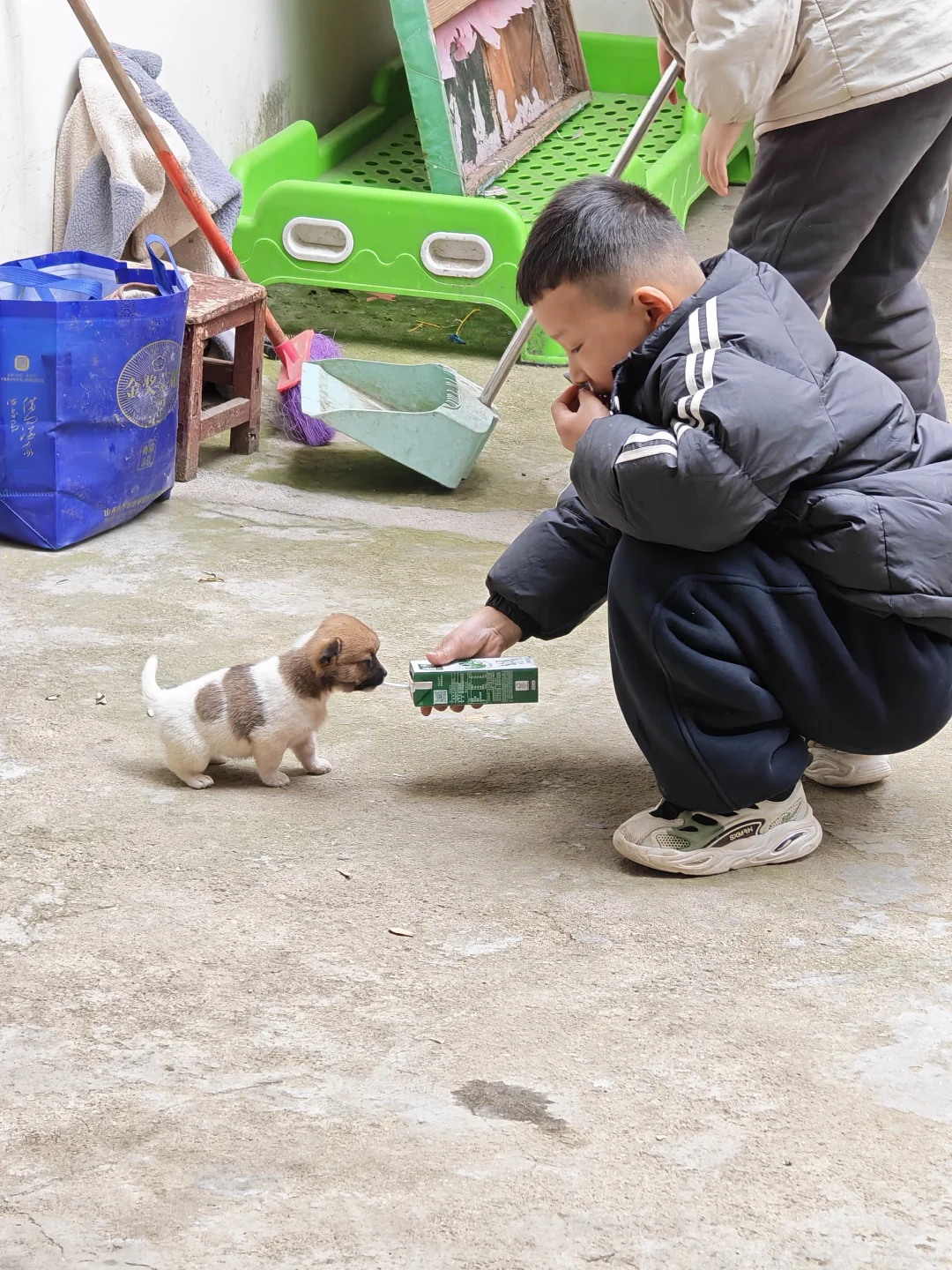 犬の甘噛み予防 — 手を舐める行動からおもちゃへ誘導する様子