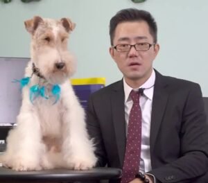 トリミングとは？犬に必要な理由と初めてのサロン選び — 犬/猫の健康コラムのイメージ写真 1